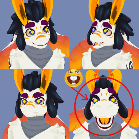 Nozomy Test