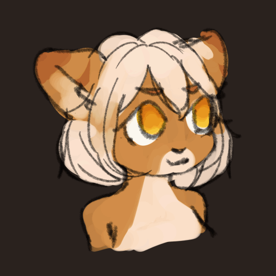 Luci Practice